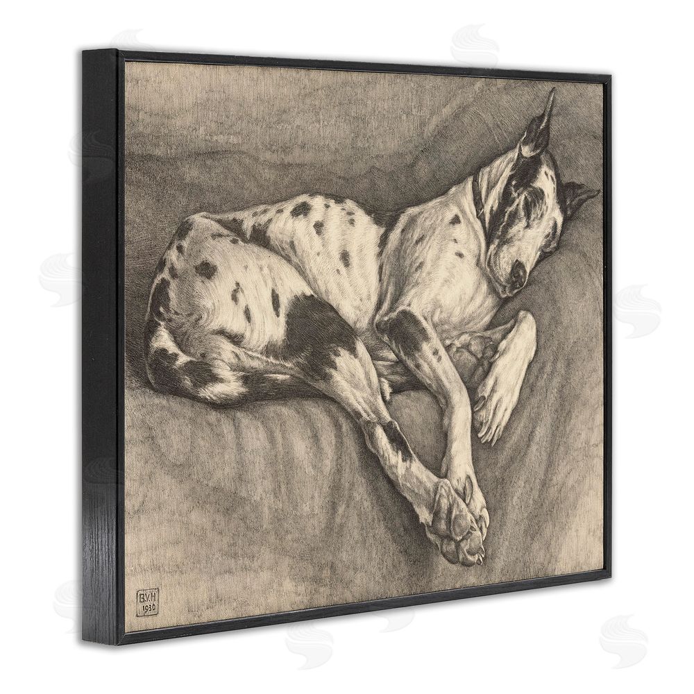 Bertha Van Hasselt Sleeping Hound Drawing Black Framed Giclee Wall Art Print