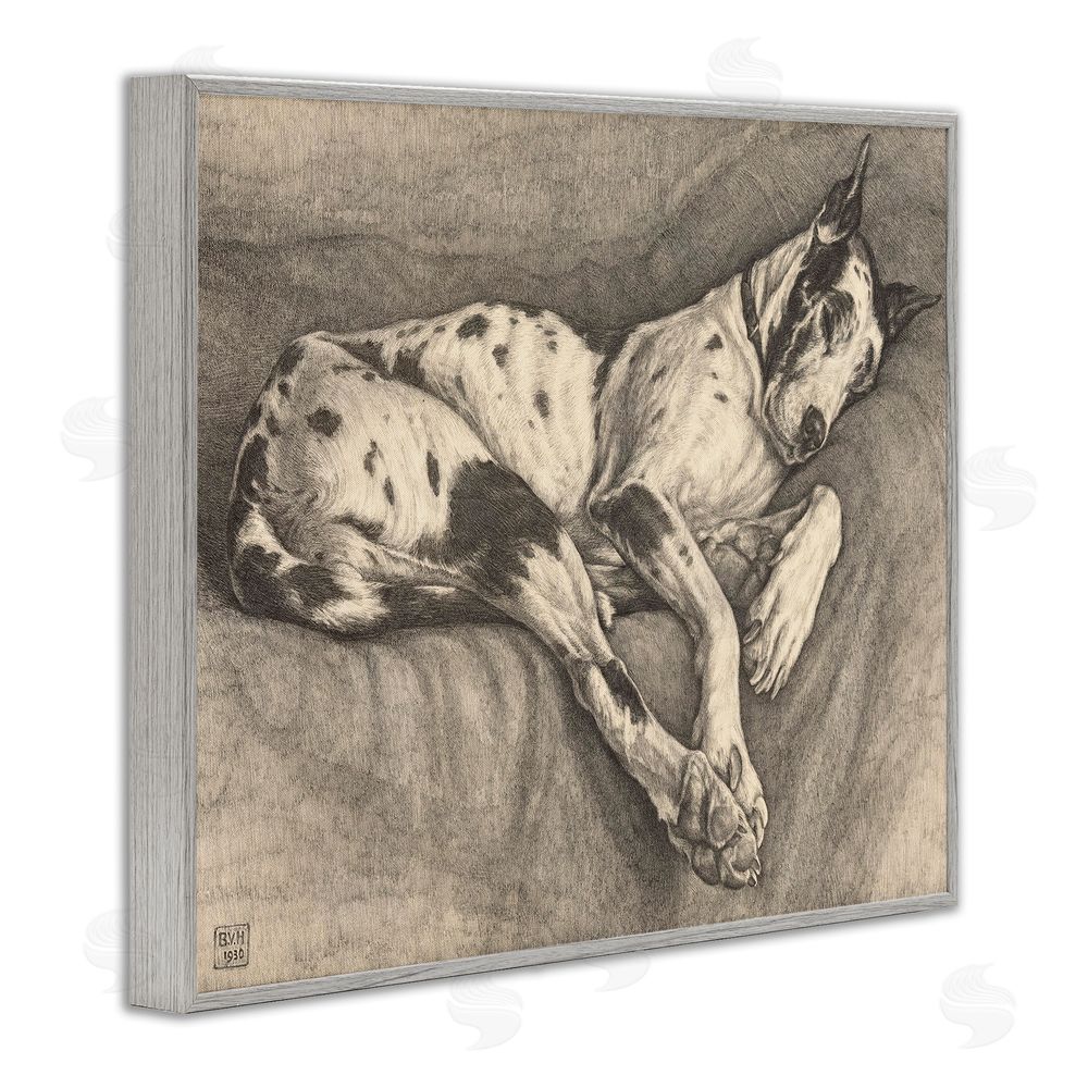 Bertha Van Hasselt Sleeping Hound Drawing Gray Framed Giclee Wall Art Print