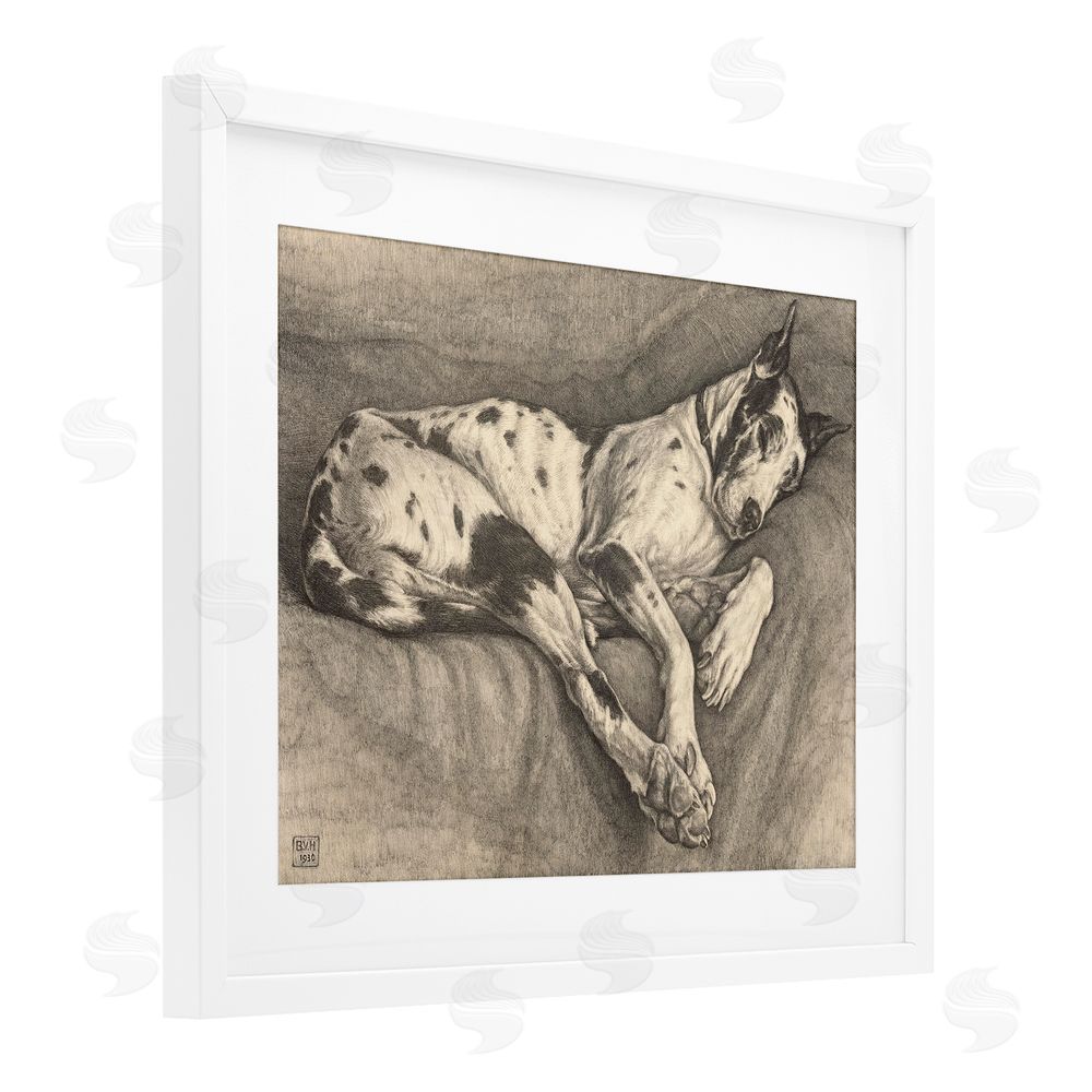 Bertha Van Hasselt Sleeping Hound Drawing White Framed Print Under Glass Wall Art