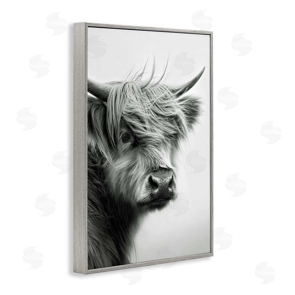 Tina LeCour Young Highland Cow Portrait Gray Framed Giclee Wall Art Print