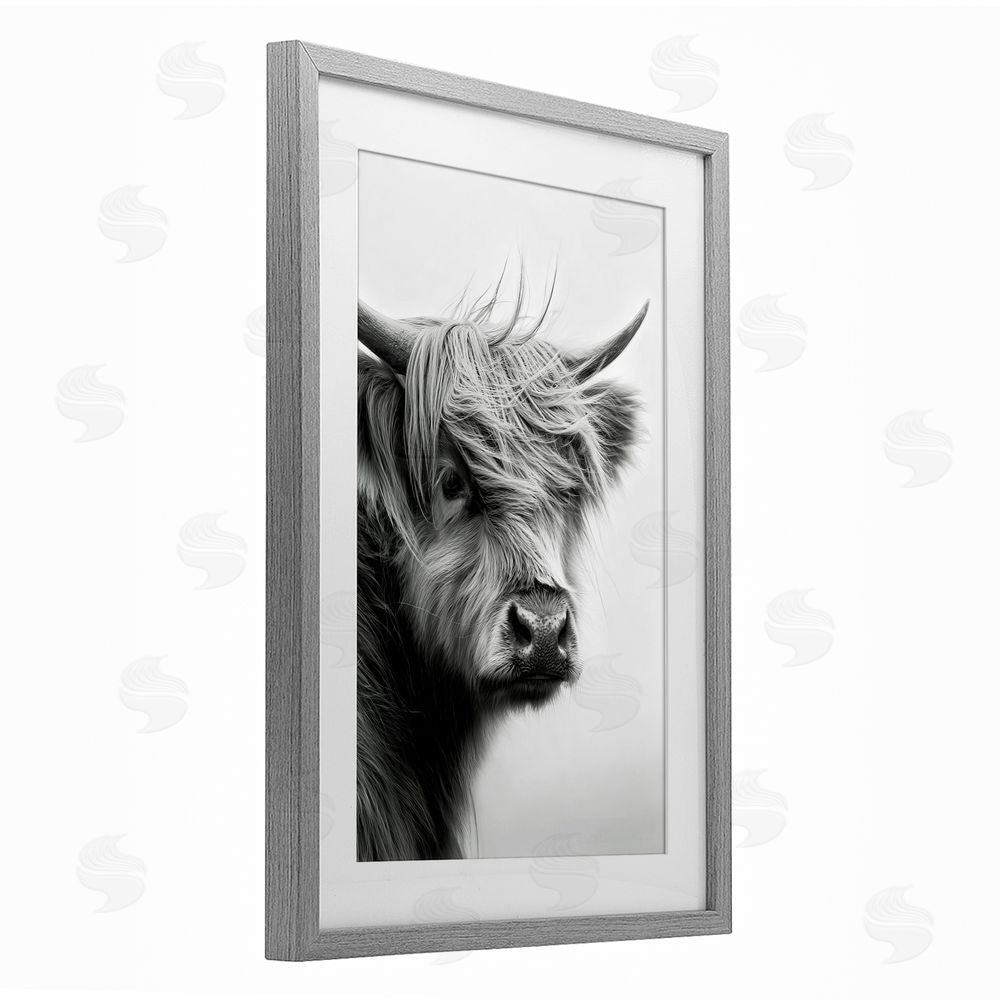 Tina LeCour Young Highland Cow Portrait Gray Framed Print Under Glass Wall Art