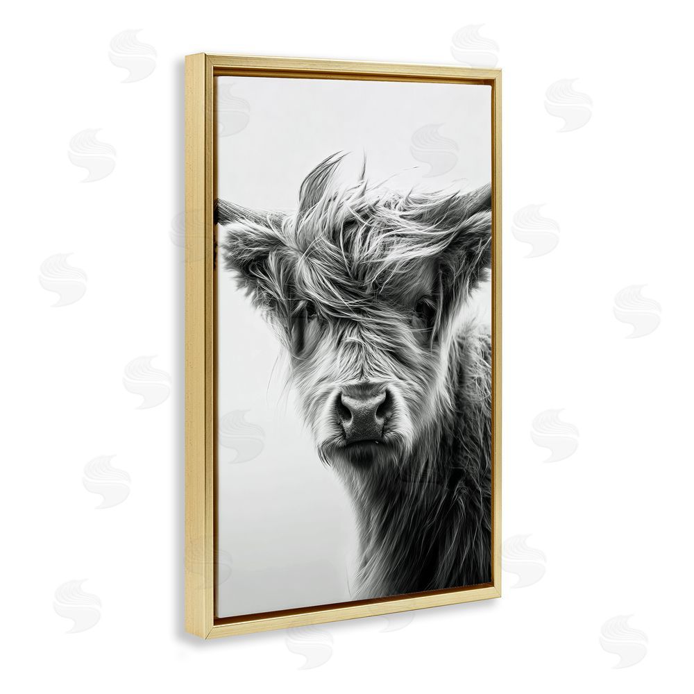 Tina LeCour Windblown Young Highland Calf Gold Floating Frame Canvas Wall Art Print