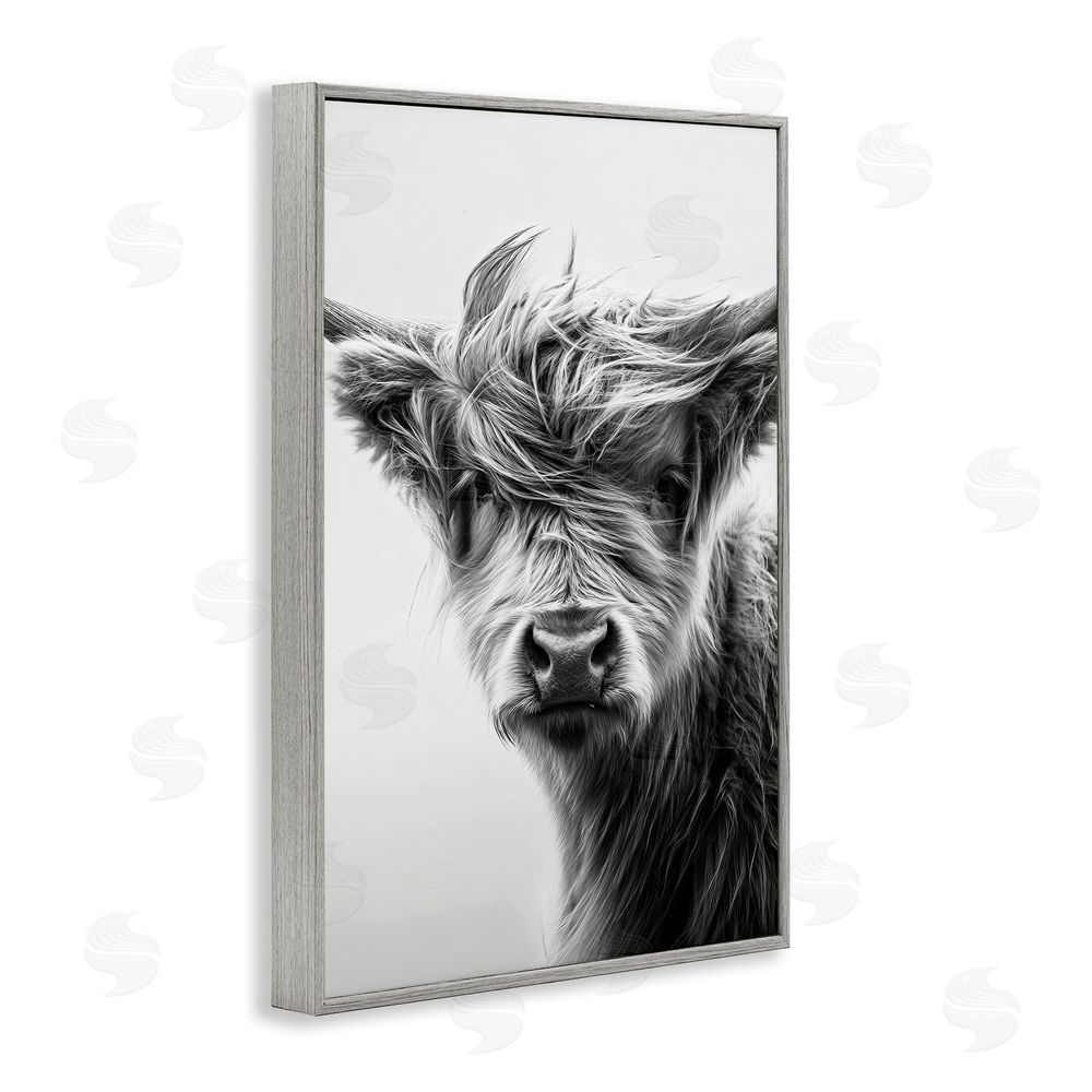 Tina LeCour Windblown Young Highland Calf Gray Framed Giclee Wall Art Print
