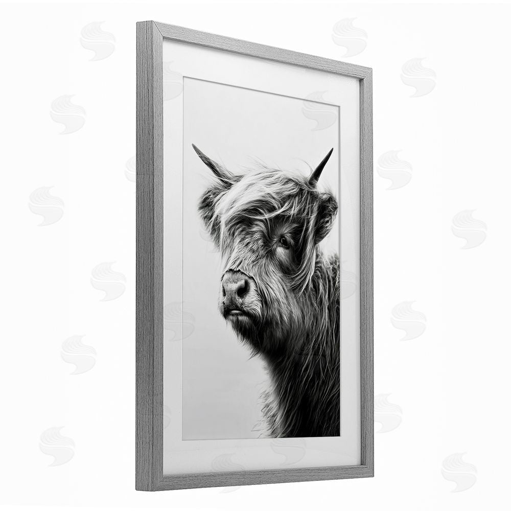Tina LeCour Highland Cattle Young Calf Gray Framed Print Under Glass Wall Art