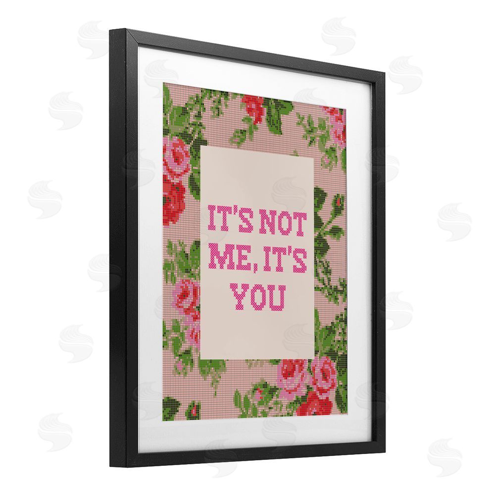 Daphne Polselli Not Me It's You Faux Cross Stitch Black Framed Print Under Glass Wall Art