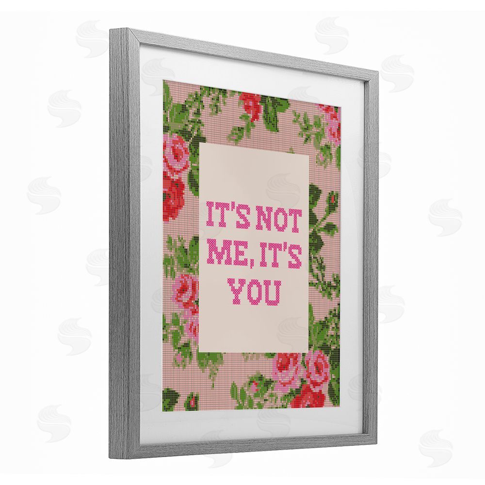 Daphne Polselli Not Me It's You Faux Cross Stitch Gray Framed Print Under Glass Wall Art