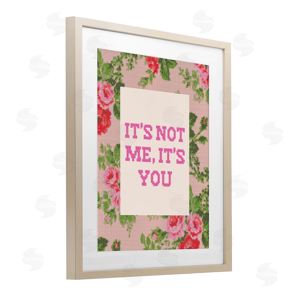 Daphne Polselli Not Me It's You Faux Cross Stitch Brown Framed Print Under Glass Wall Art