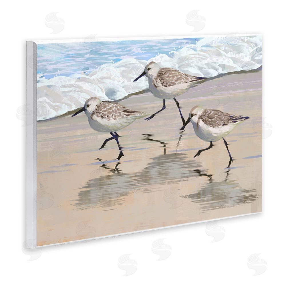 Ziwei Li Scurrying Sandpipers on Wet Sand Wooden Wall Plaque Art Print