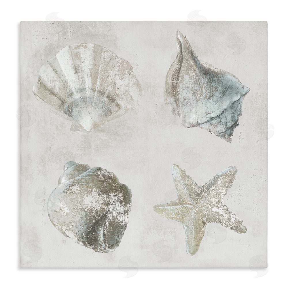 Lorenzo Collective Shoreline Treasures Shell Quartet Stretched Canvas Wall Art Print