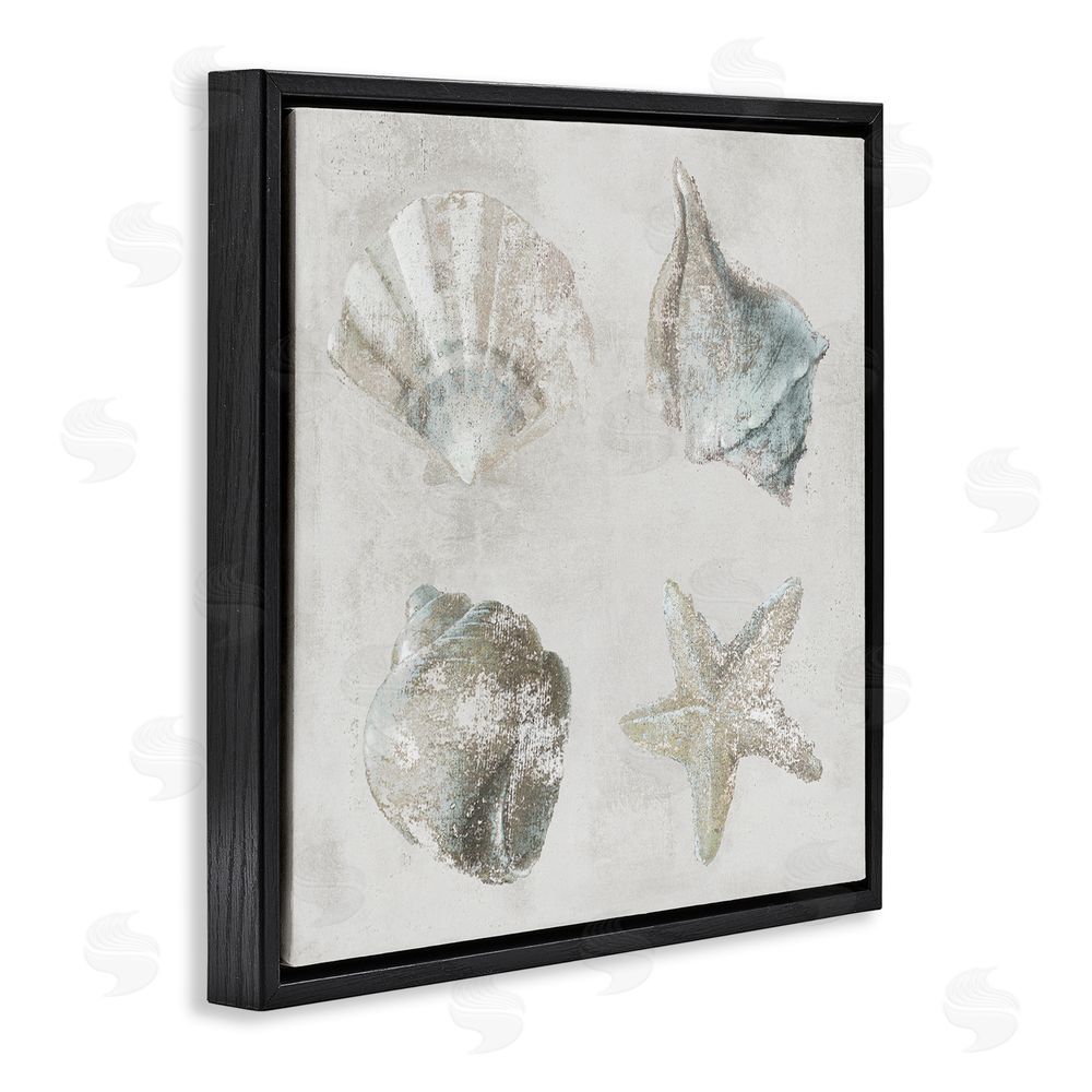 Lorenzo Collective Shoreline Treasures Shell Quartet Black Floating Frame Canvas Wall Art Print