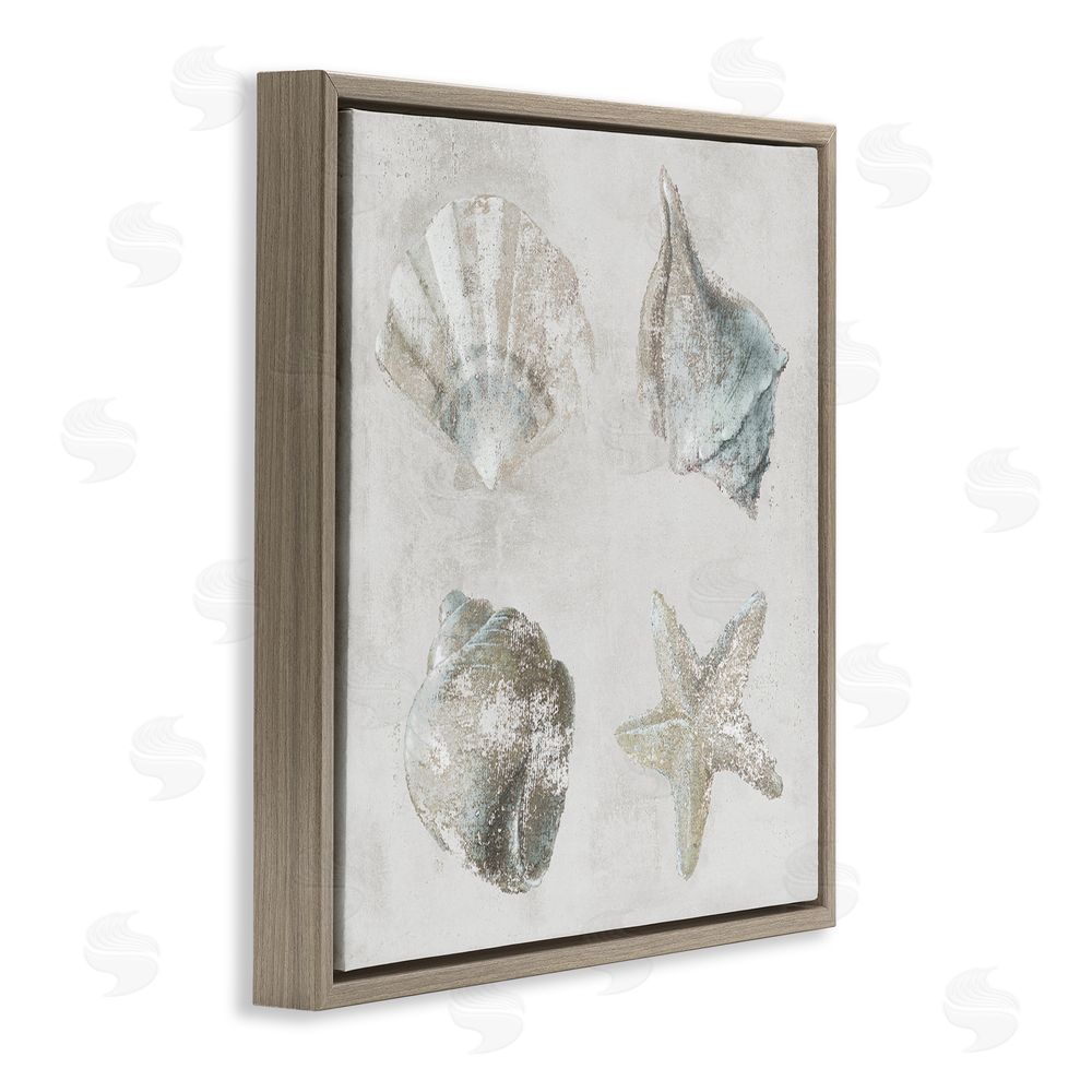 Lorenzo Collective Shoreline Treasures Shell Quartet Brown Floating Frame Canvas Wall Art Print