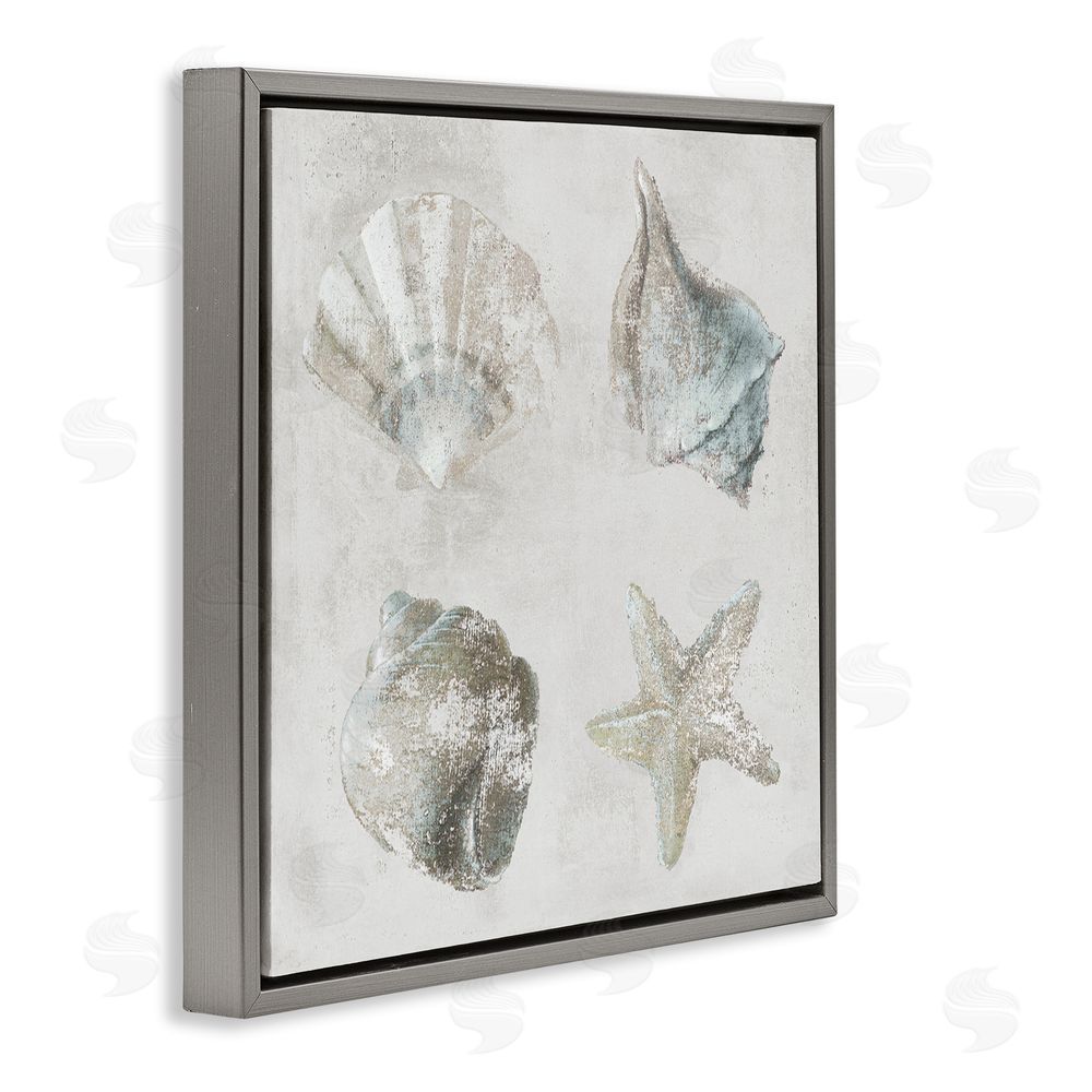 Lorenzo Collective Shoreline Treasures Shell Quartet Gray Floating Frame Canvas Wall Art Print
