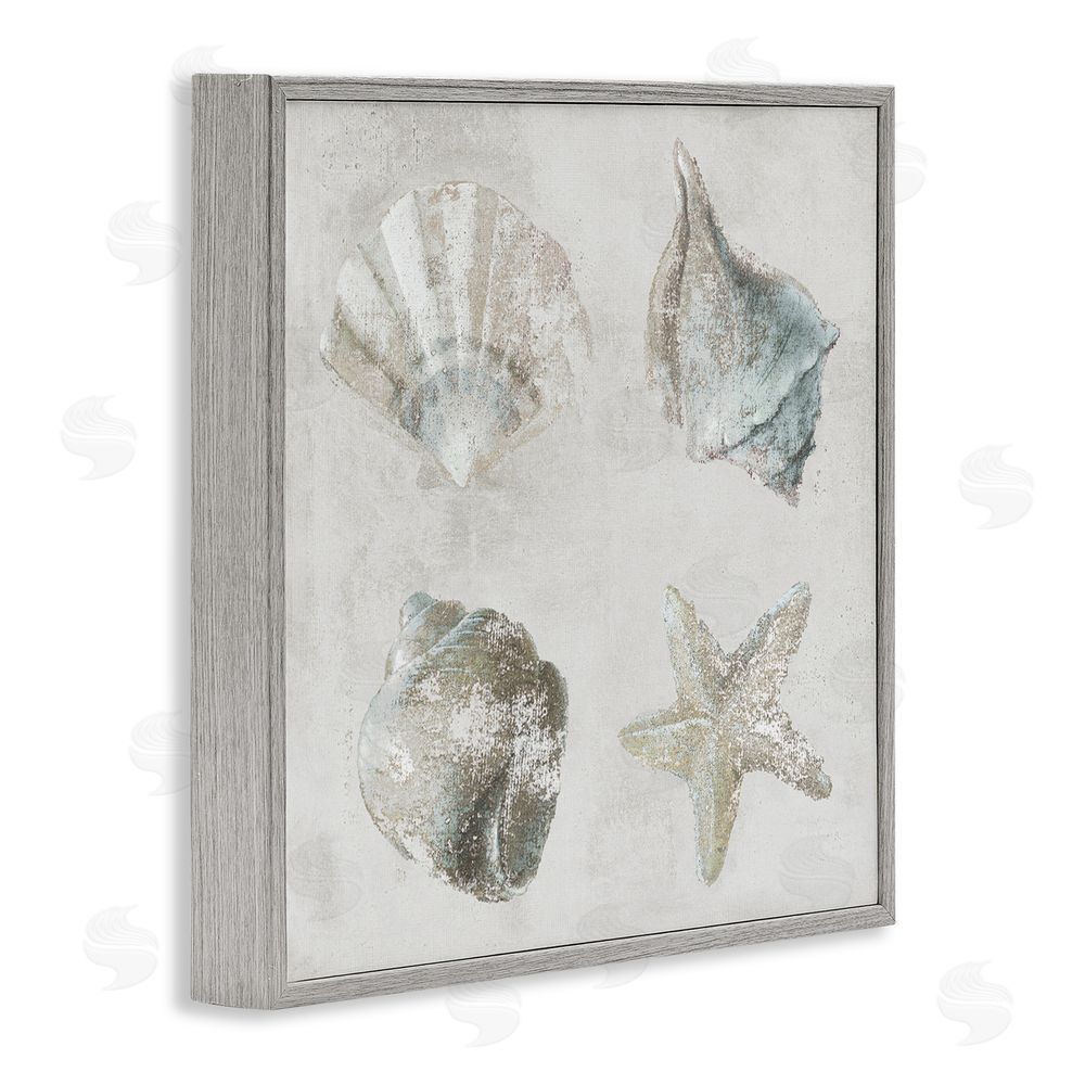 Lorenzo Collective Shoreline Treasures Shell Quartet Gray Framed Giclee Wall Art Print