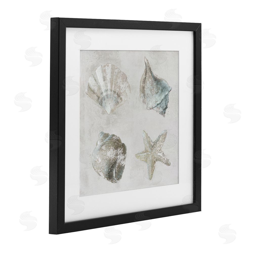 Lorenzo Collective Shoreline Treasures Shell Quartet Black Framed Print Under Glass Wall Art