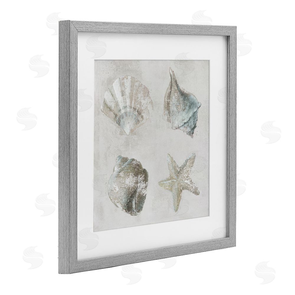 Lorenzo Collective Shoreline Treasures Shell Quartet Gray Framed Print Under Glass Wall Art