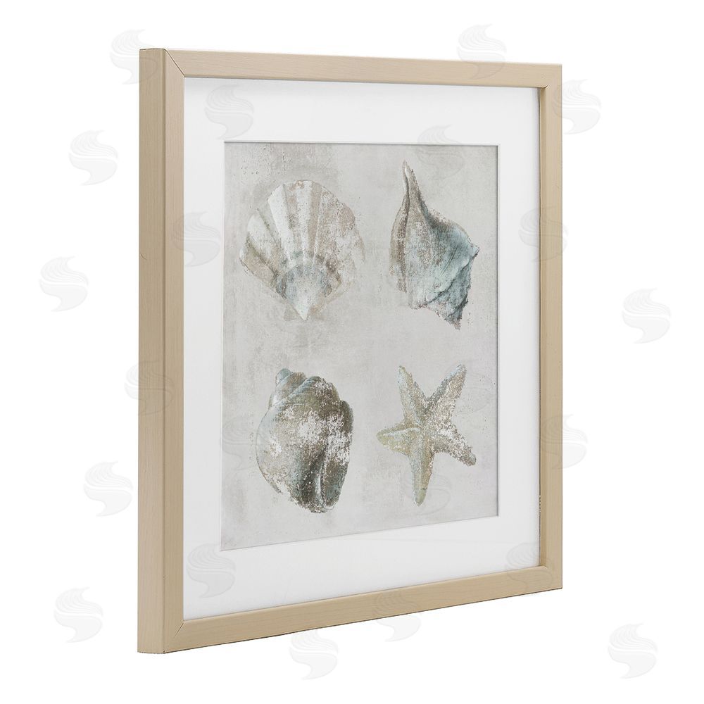 Lorenzo Collective Shoreline Treasures Shell Quartet Brown Framed Print Under Glass Wall Art