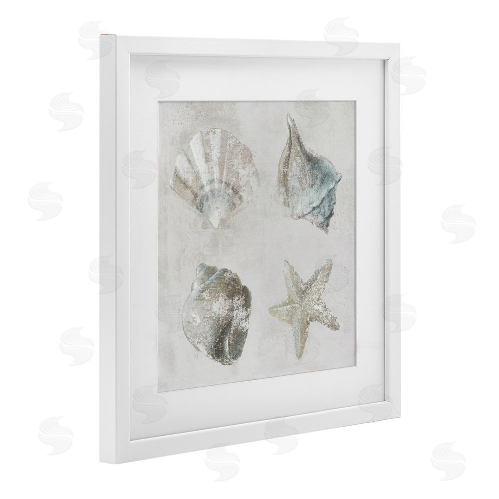 Lorenzo Collective Shoreline Treasures Shell Quartet White Framed Print Under Glass Wall Art