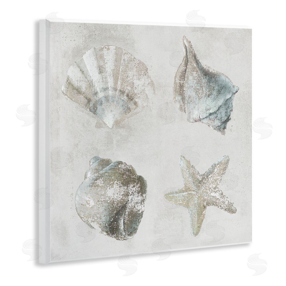 Lorenzo Collective Shoreline Treasures Shell Quartet Wooden Wall Plaque Art Print
