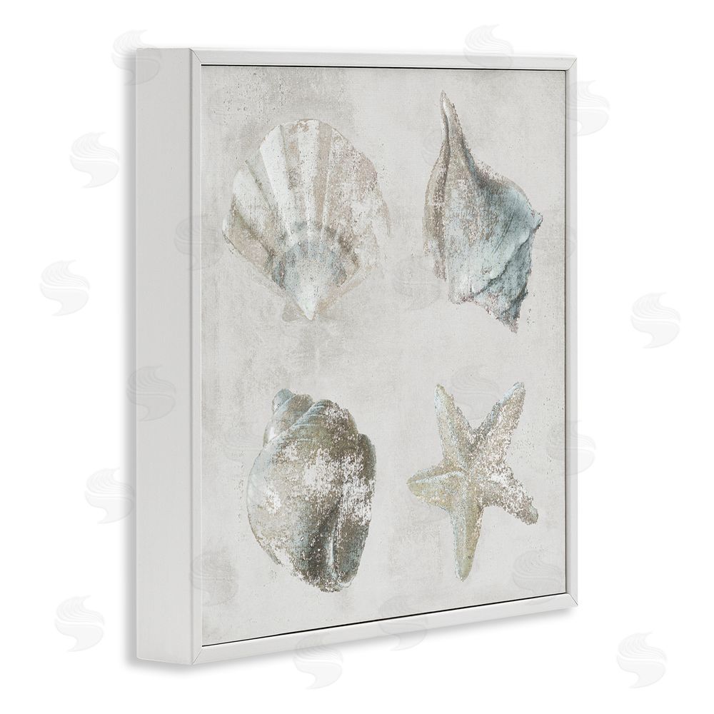 Lorenzo Collective Shoreline Treasures Shell Quartet White Framed Giclee Wall Art Print