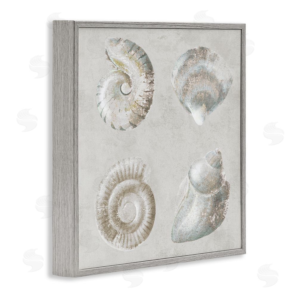 Lorenzo Collective Quartet of Seashells Gray Framed Giclee Wall Art Print