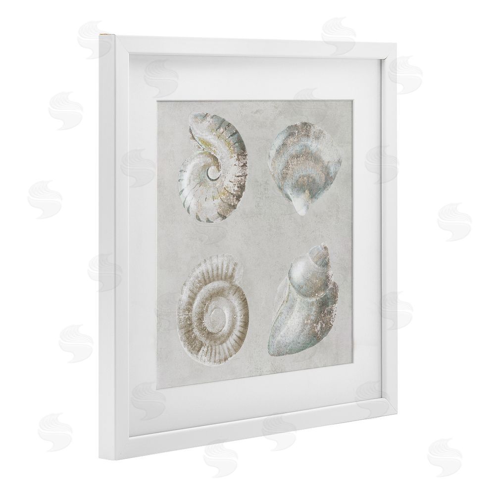 Lorenzo Collective Quartet of Seashells White Framed Print Under Glass Wall Art