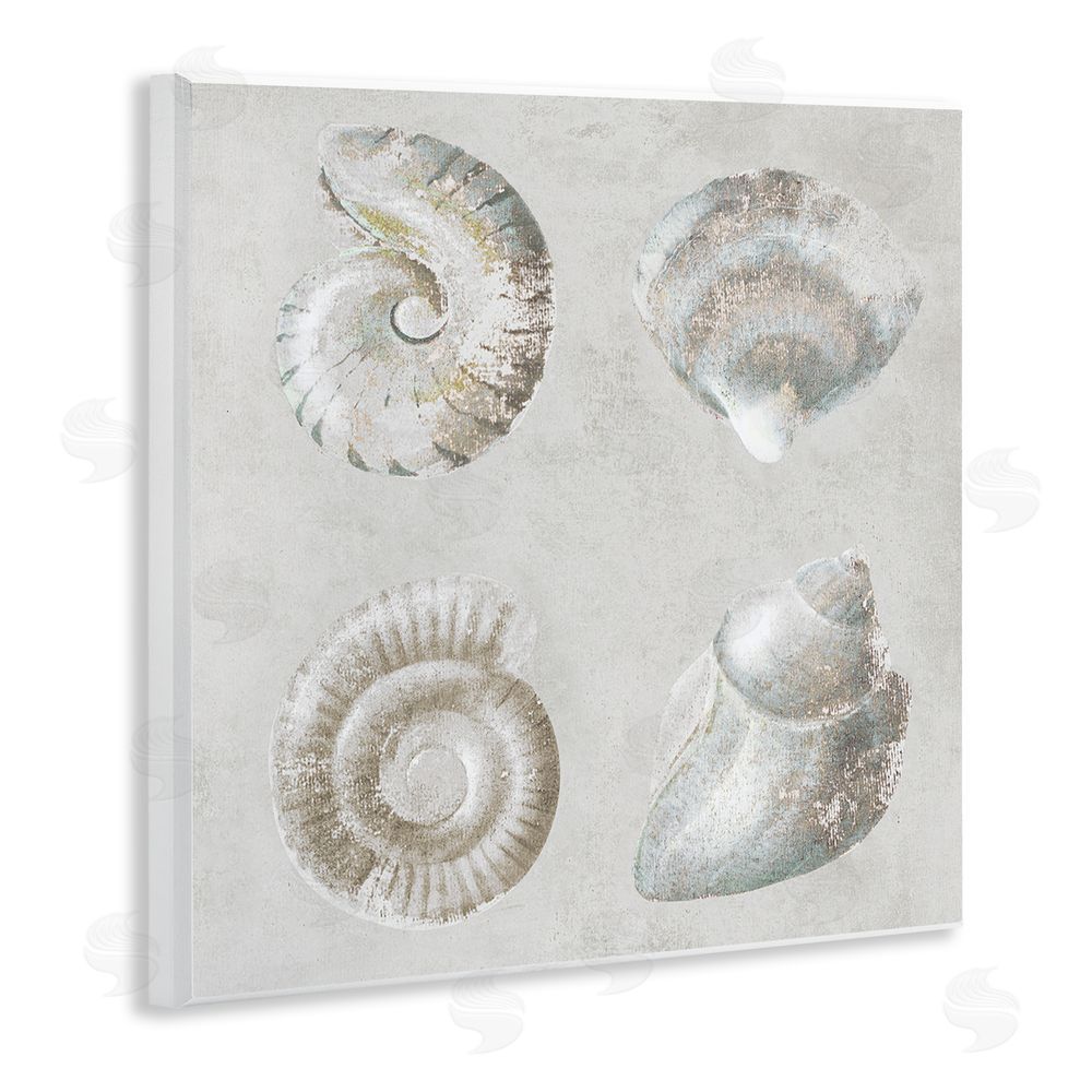 Lorenzo Collective Quartet of Seashells Wooden Wall Plaque Art Print