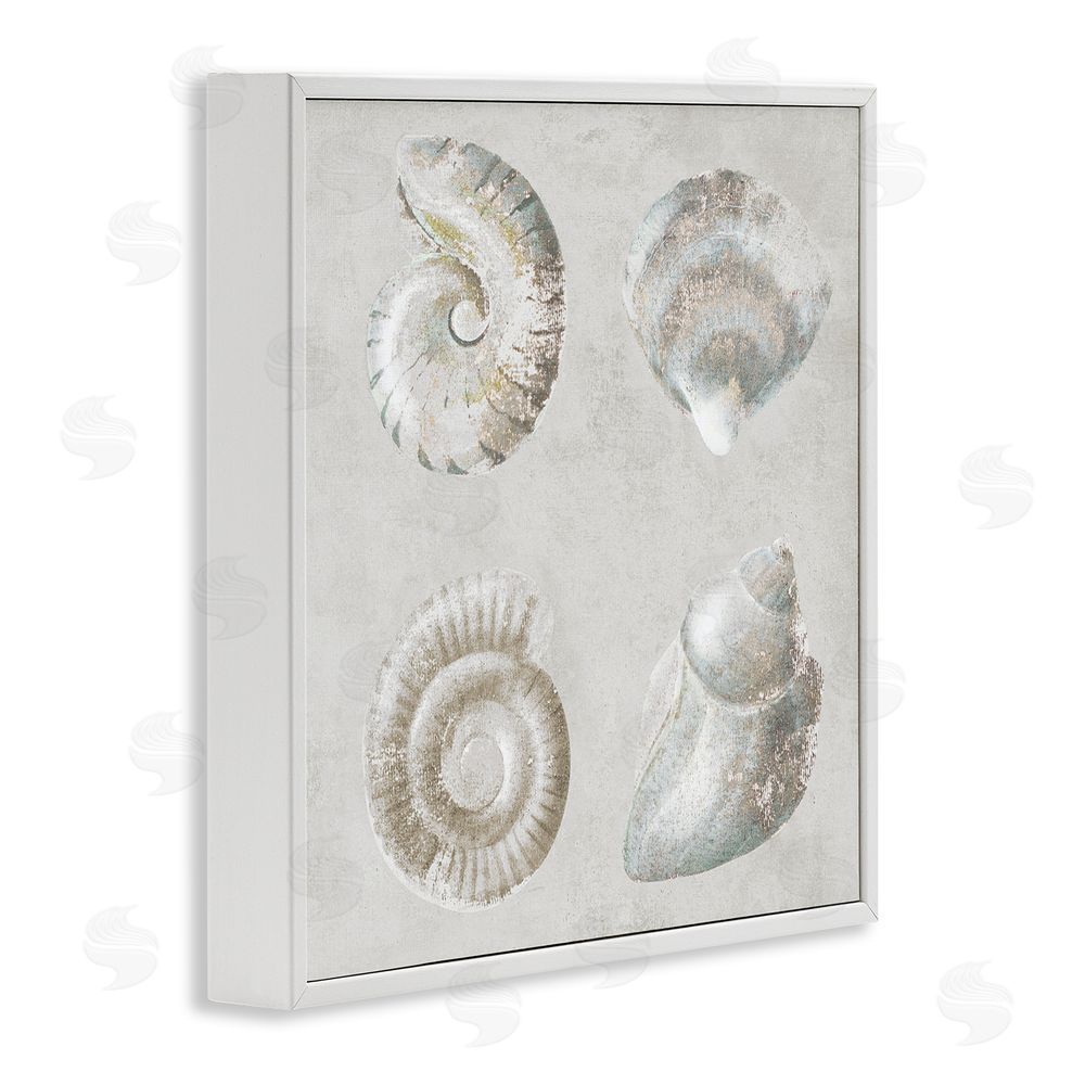 Lorenzo Collective Quartet of Seashells White Framed Giclee Wall Art Print