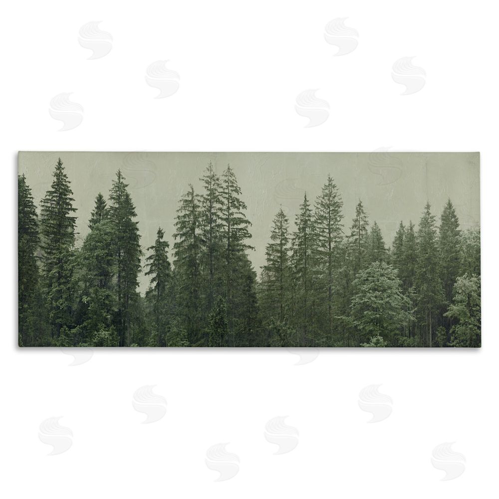 Patricia Pinto Tranquil Emerald Forest Canopy Stretched Canvas Wall Art Print