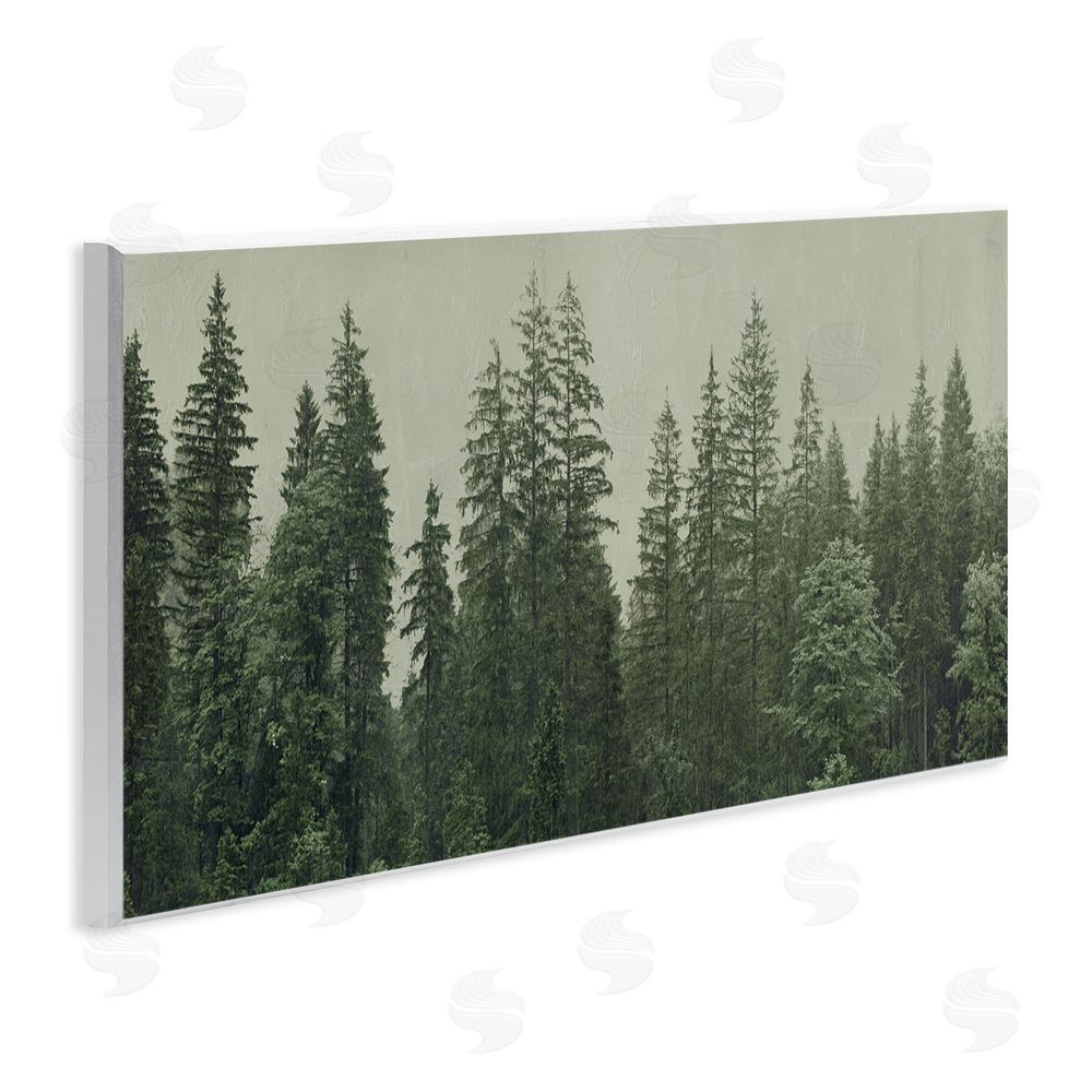 Patricia Pinto Tranquil Emerald Forest Canopy Wooden Wall Plaque Art Print