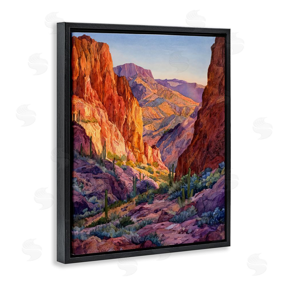Franklyn Gregory Western Colors Canyon Black Floating Framed Canvas Wall Art Print