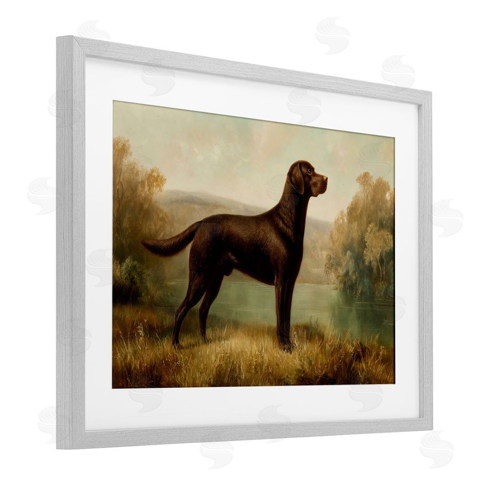 Petal Prints Design Chocolate Brown Labrador Gray Framed Print Under Glass Wall Art