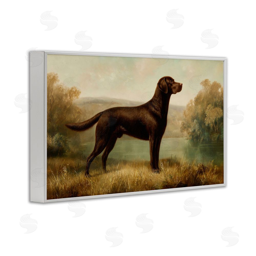 Petal Prints Design Chocolate Brown Labrador White Framed Giclee Wall Art Print