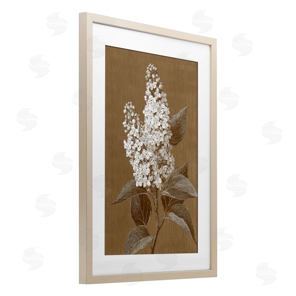 Petal Prints Design Vintage Striped Lilac Study Brown Framed Print Under Glass with White Mat Wall Art
