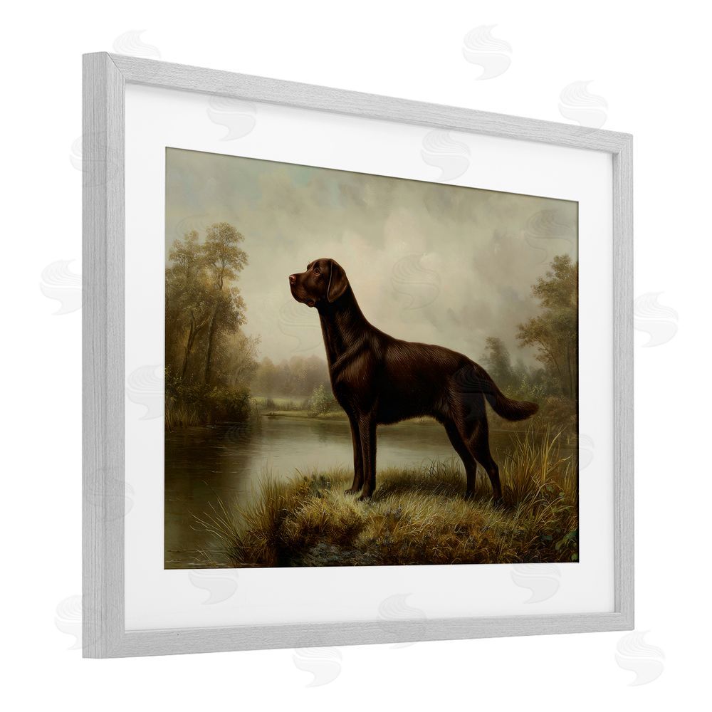Petal Prints Design On Alert Chocolate Lab Gray Framed Print Under Glass Wall Art