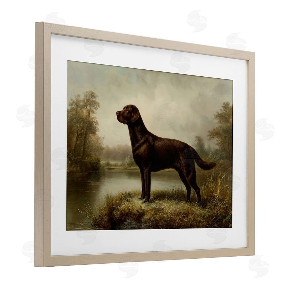 Petal Prints Design On Alert Chocolate Lab Brown Framed Print Under Glass Wall Art