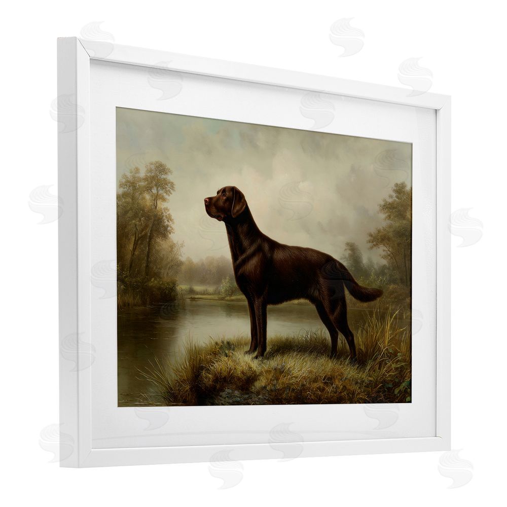 Petal Prints Design On Alert Chocolate Lab White Framed Print Under Glass Wall Art