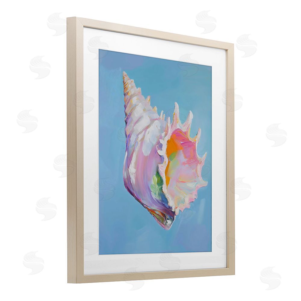 The Prints Vibe Pastel Hued Conch on Blue Brown Framed Print Under Glass Wall Art