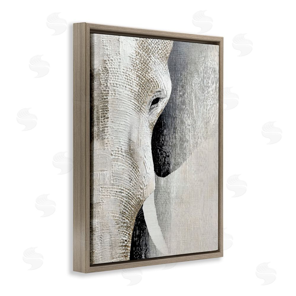 LSR Design Studio Faux Textured Elephant Brown Floating Framed Canvas Wall Art