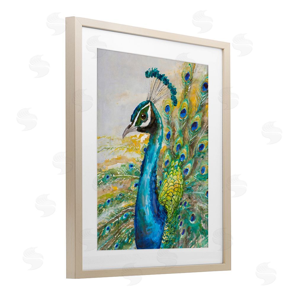 Creative Studio Regal Blue Peacock Feathers Brown Framed Print Under Glass Wall Art