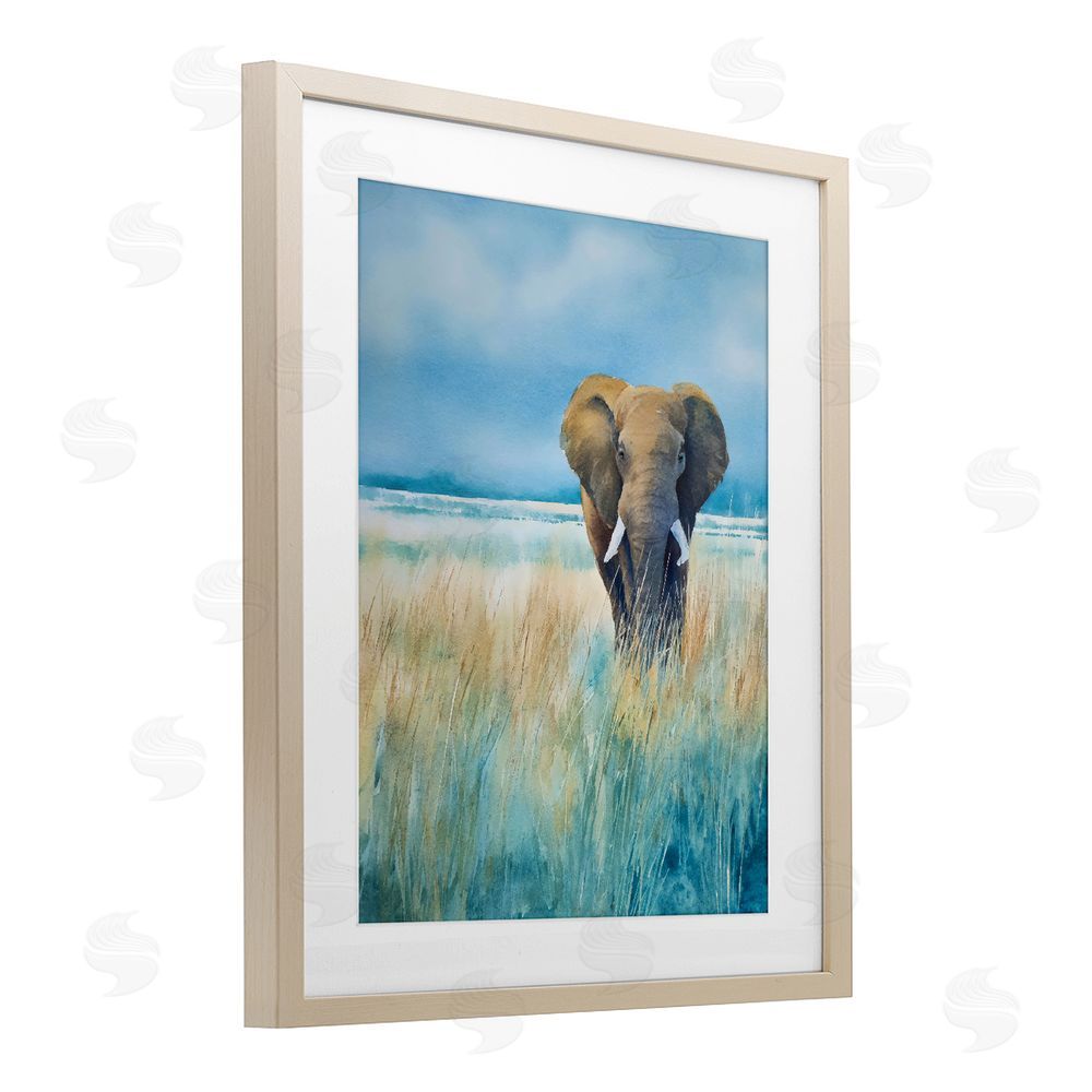 Franklyn Gregory Blue Grass Elephant Brown Framed Print Under Glass with Matting Wall Art