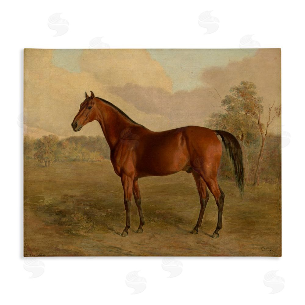 Edward Troye Brown Graceful Horse Stretched Canvas Wall Art Print