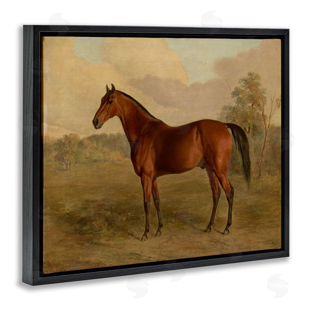 Edward Troye Brown Graceful Horse Black Floating Frame Canvas Wall Art Print