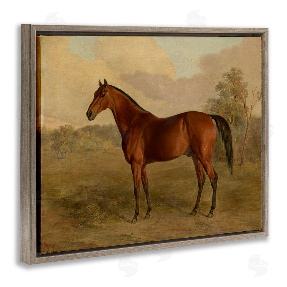 Edward Troye Brown Graceful Horse Brown Floating Frame Canvas Wall Art Print