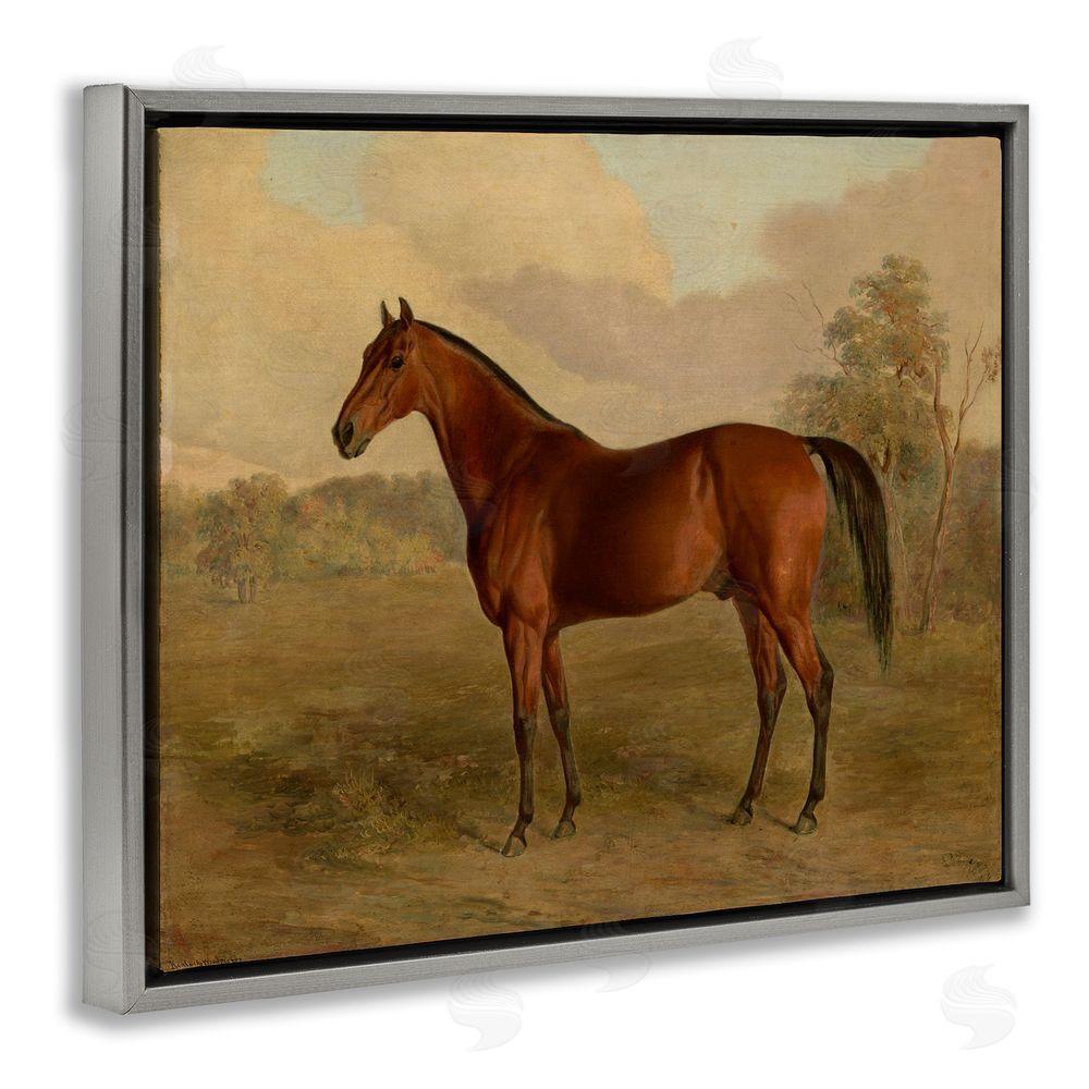 Edward Troye Brown Graceful Horse Gray Floating Frame Canvas Wall Art Print