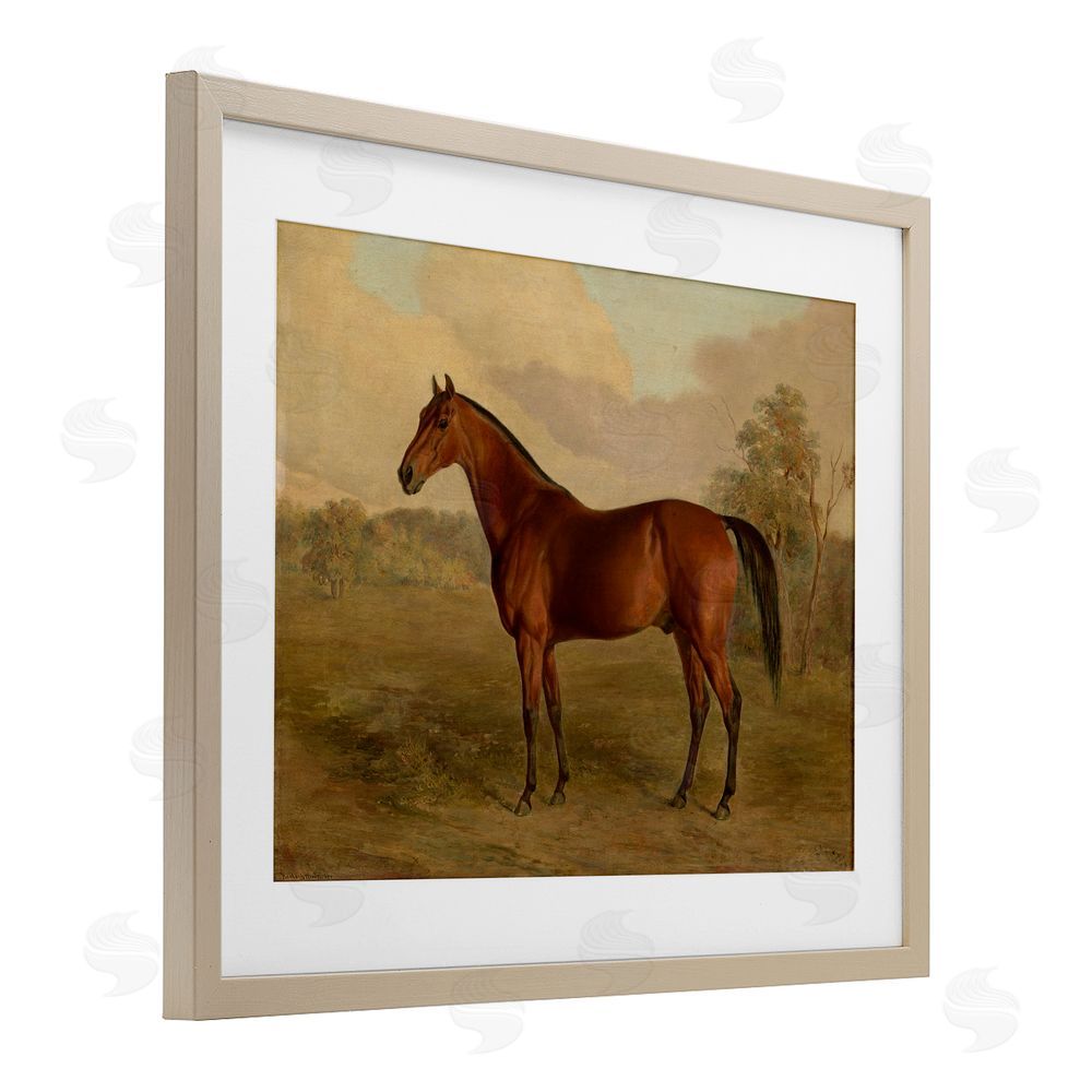 Edward Troye Brown Graceful Horse Brown Framed Print Under Glass Wall Art