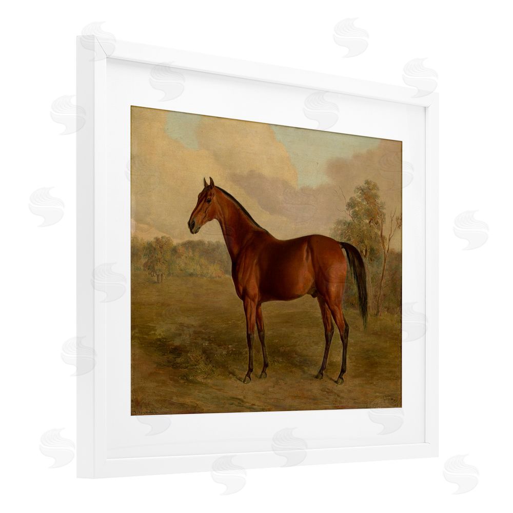 Edward Troye Brown Graceful Horse White Framed Print Under Glass Wall Art