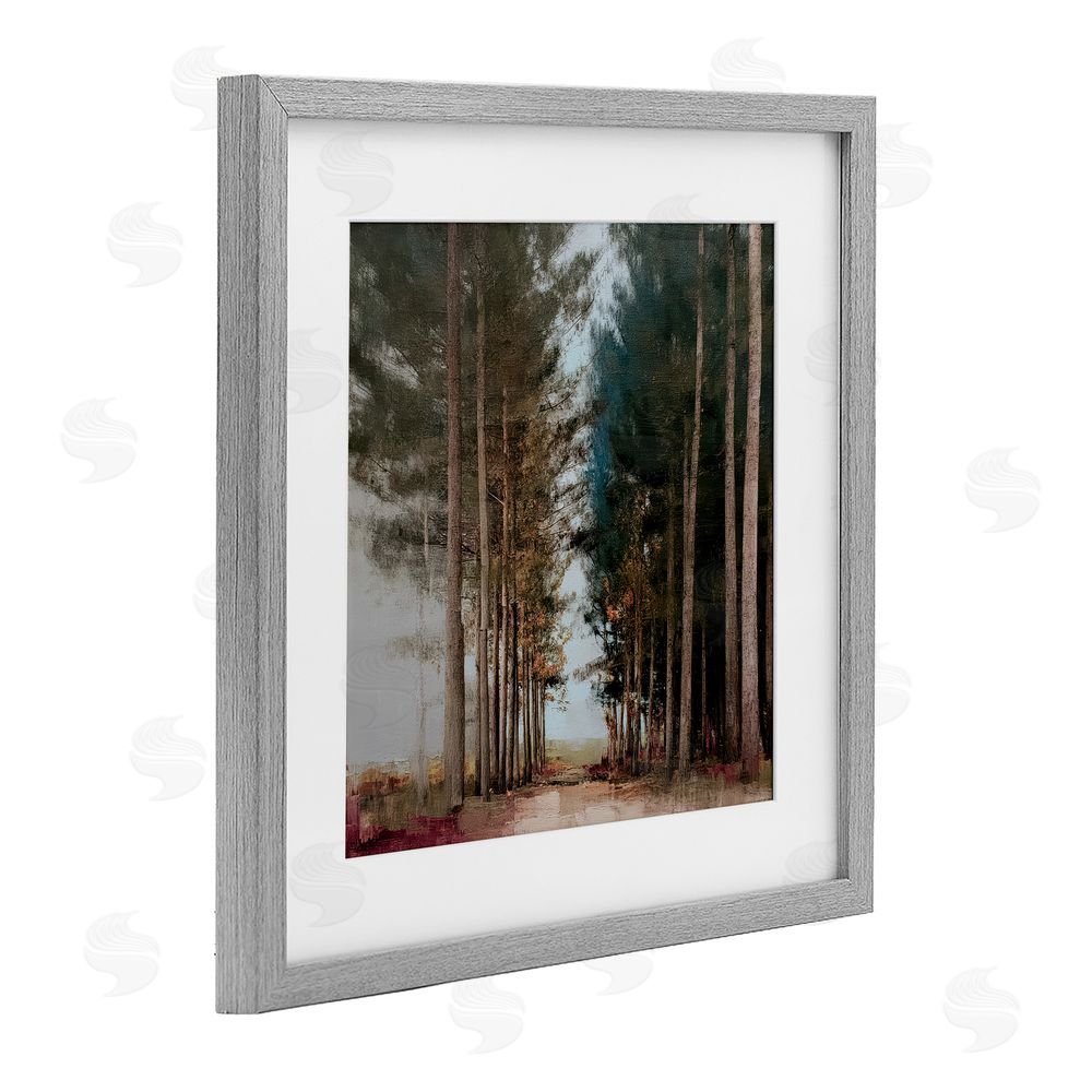 Kim Curinga Tall Trees Pathway Gray Framed Print Under Glass with White Mat Wall Art