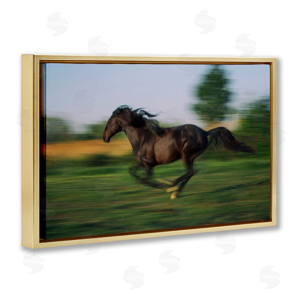 Scott Stulberg Dashing Camargue Racehorse Gold Floating Frame Canvas Wall Art Print