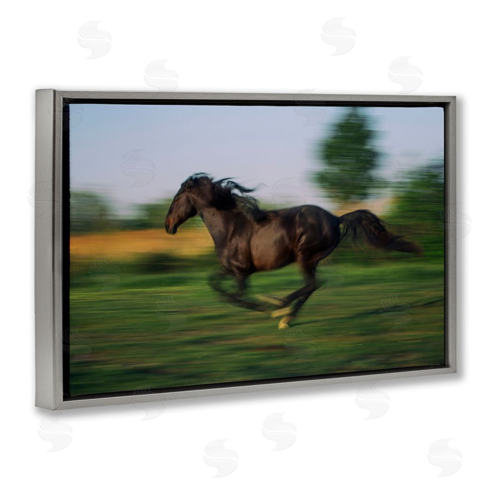 Scott Stulberg Dashing Camargue Racehorse Gray Floating Frame Canvas Wall Art Print
