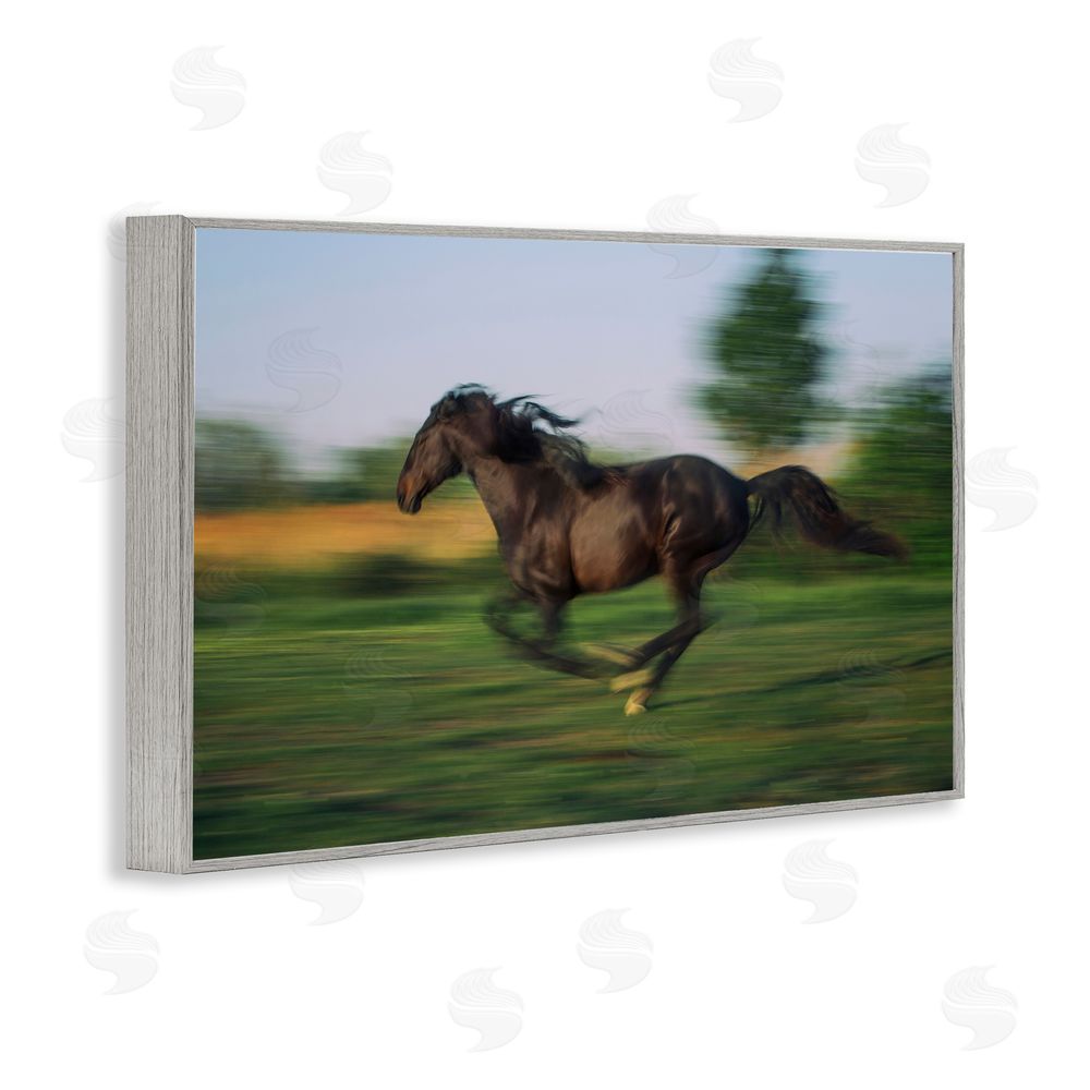 Scott Stulberg Dashing Camargue Racehorse Gray Framed Giclee Wall Art Print